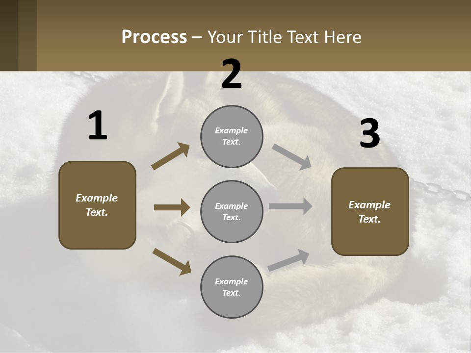 A Husky Dog Laying In The Snow Powerpoint Template PowerPoint Template