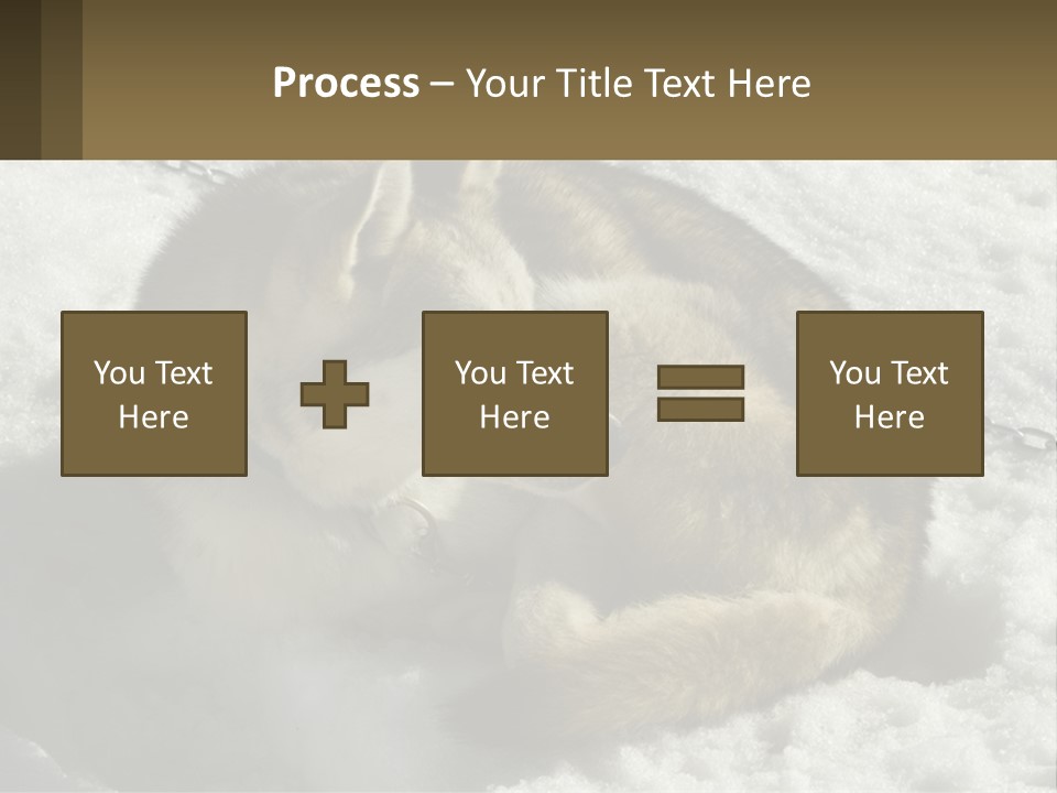 A Husky Dog Laying In The Snow Powerpoint Template PowerPoint Template