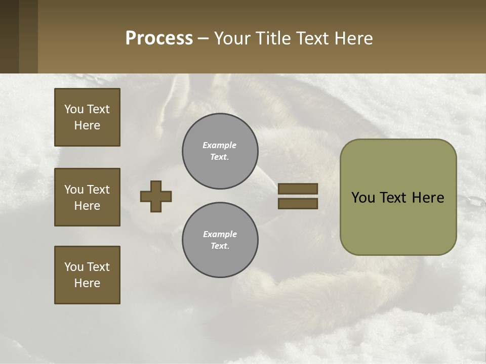 A Husky Dog Laying In The Snow Powerpoint Template PowerPoint Template