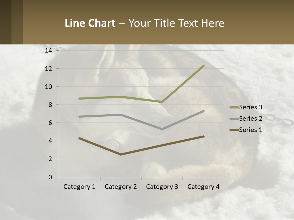 A Husky Dog Laying In The Snow Powerpoint Template PowerPoint Template