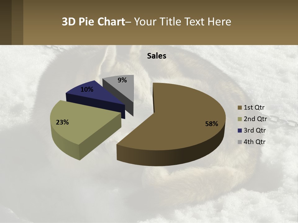 A Husky Dog Laying In The Snow Powerpoint Template PowerPoint Template