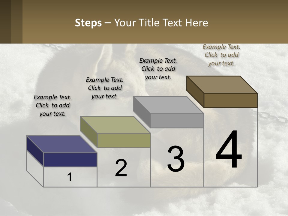 A Husky Dog Laying In The Snow Powerpoint Template PowerPoint Template