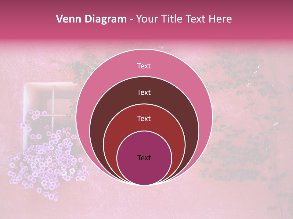 A Pink Wall With A Window And Vines On It PowerPoint Template