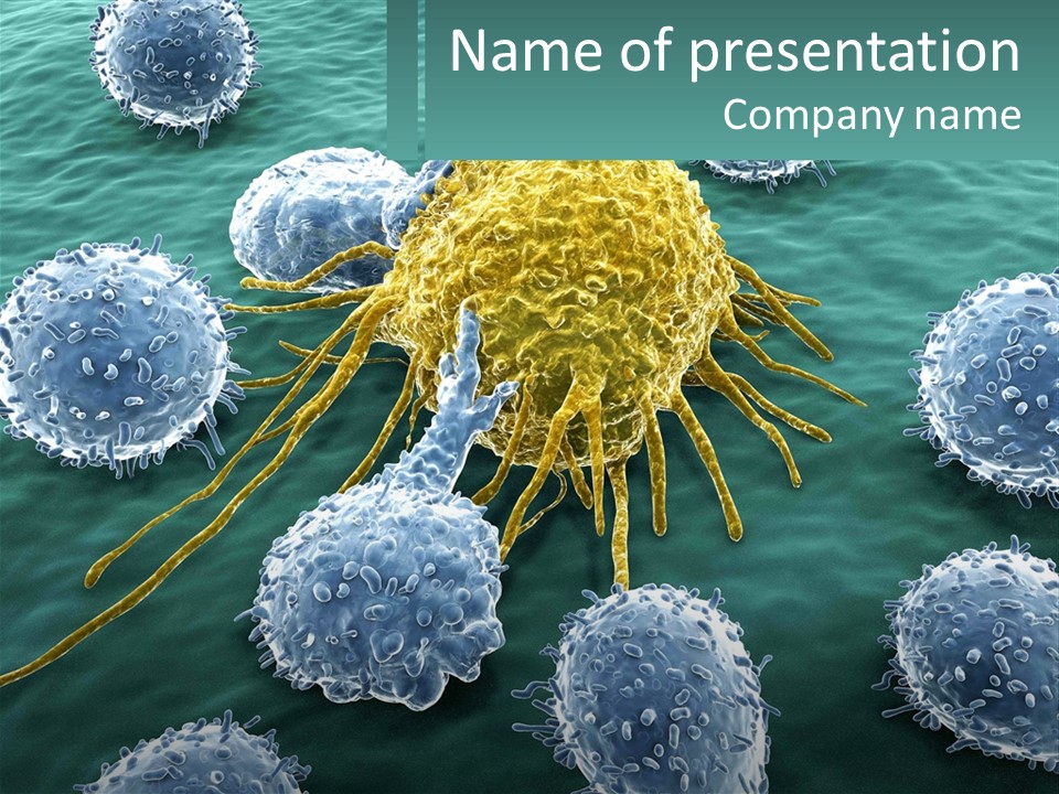 A Group Of Blue And Yellow Cells In The Water PowerPoint Template