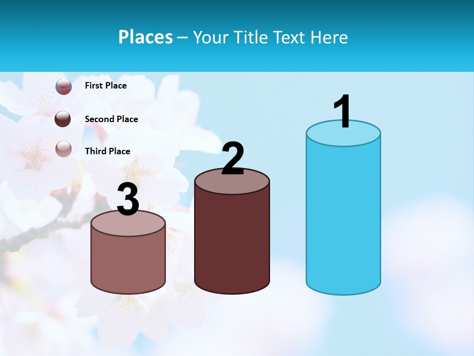 A Branch Of A Blossoming Cherry Tree With A Blue Sky In The Background PowerPoint Template