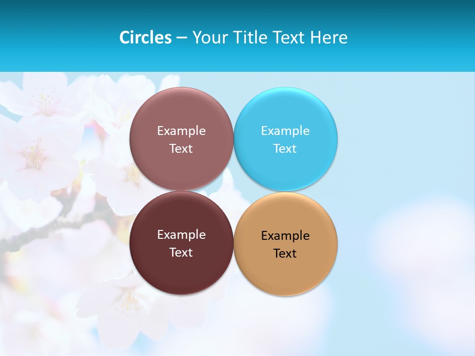 A Branch Of A Blossoming Cherry Tree With A Blue Sky In The Background PowerPoint Template