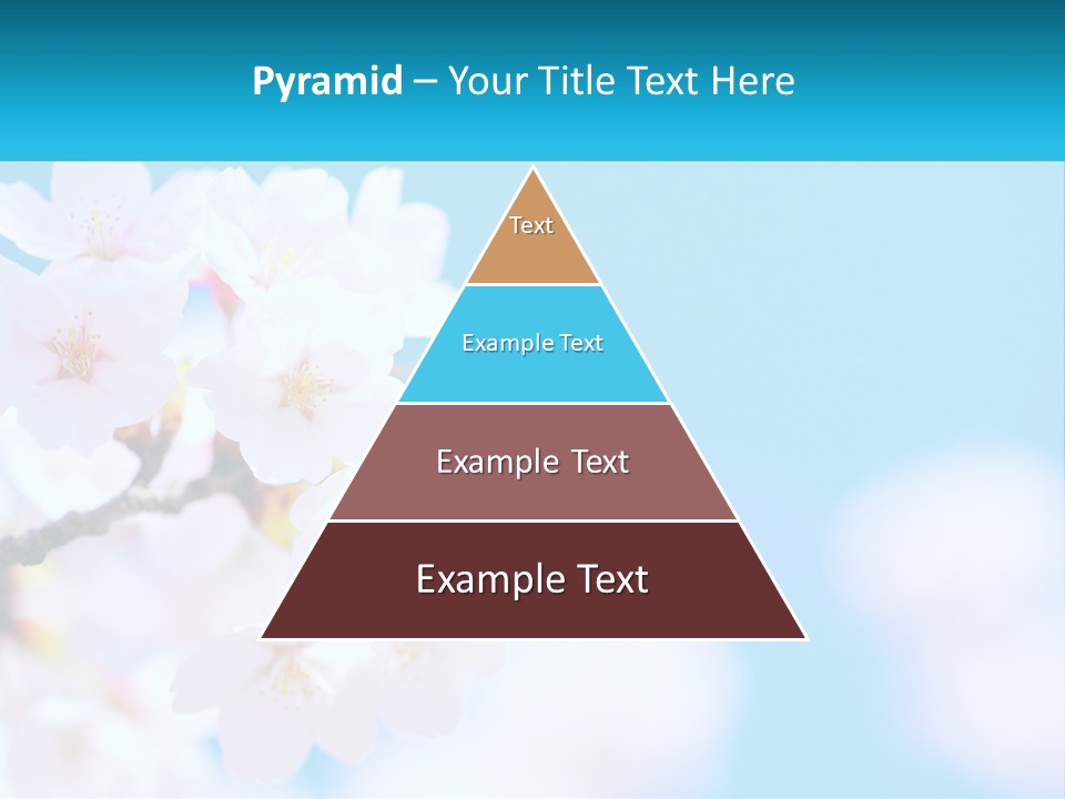 A Branch Of A Blossoming Cherry Tree With A Blue Sky In The Background PowerPoint Template