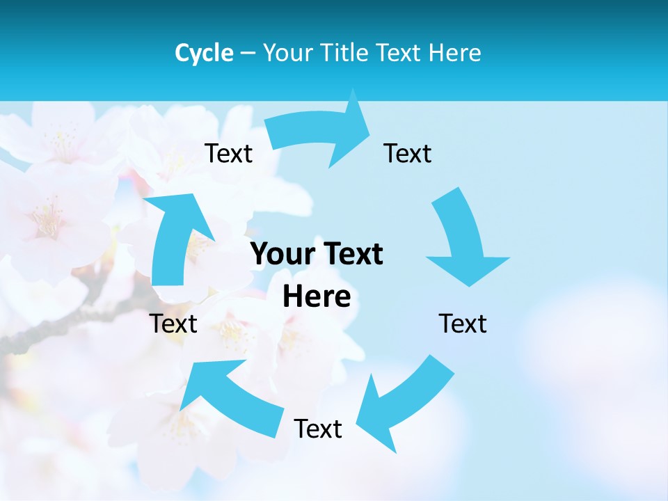A Branch Of A Blossoming Cherry Tree With A Blue Sky In The Background PowerPoint Template