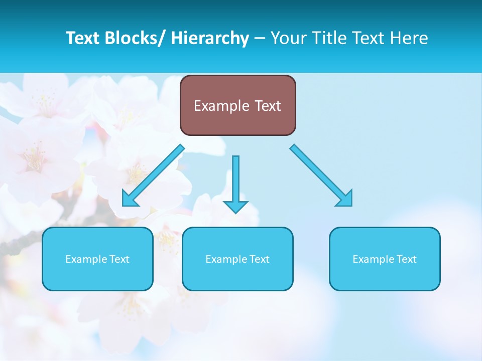 A Branch Of A Blossoming Cherry Tree With A Blue Sky In The Background PowerPoint Template