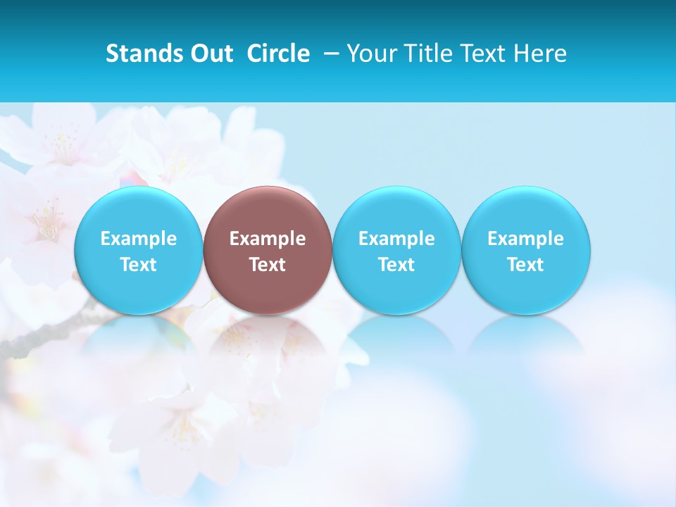 A Branch Of A Blossoming Cherry Tree With A Blue Sky In The Background PowerPoint Template