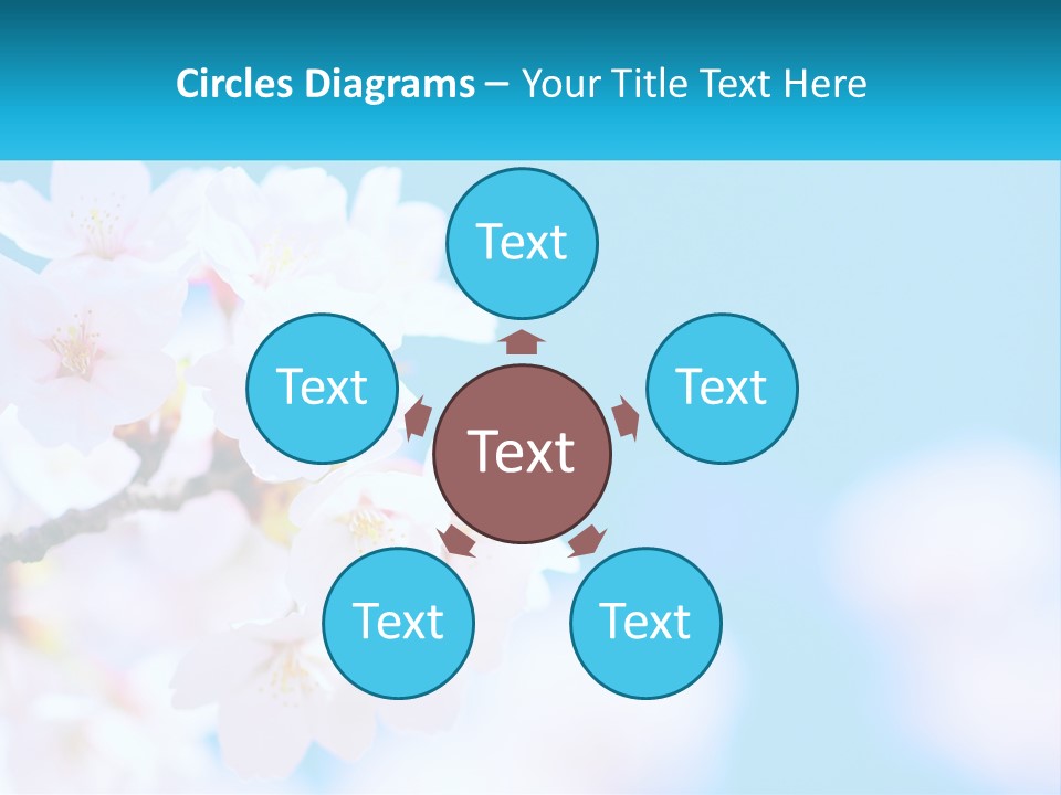 A Branch Of A Blossoming Cherry Tree With A Blue Sky In The Background PowerPoint Template