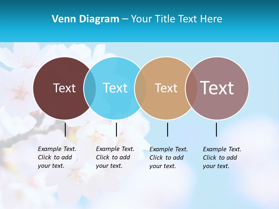 A Branch Of A Blossoming Cherry Tree With A Blue Sky In The Background PowerPoint Template