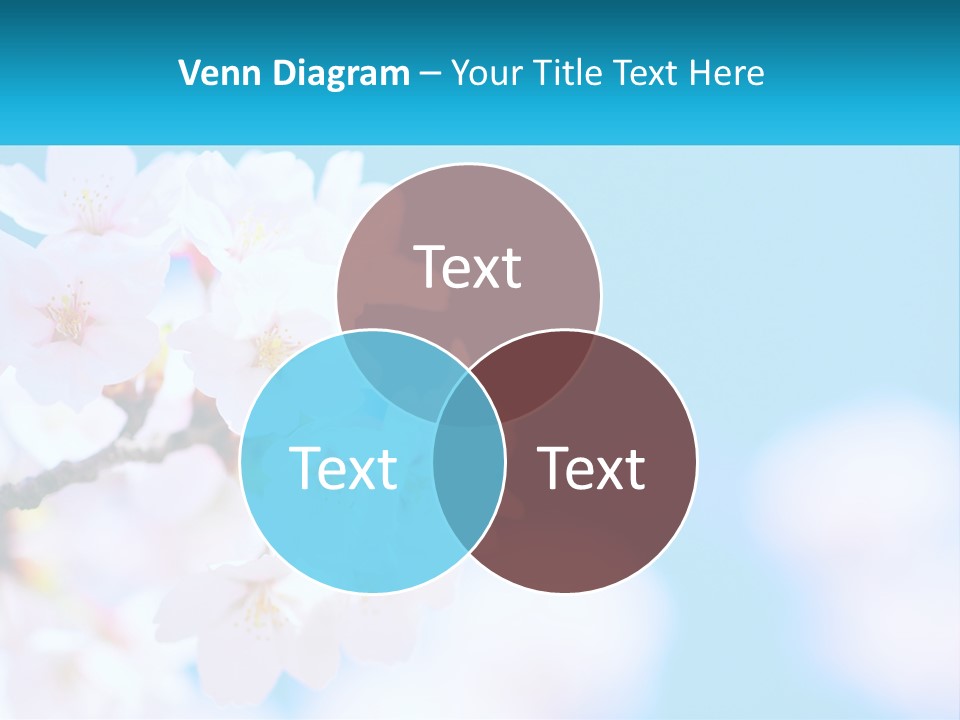 A Branch Of A Blossoming Cherry Tree With A Blue Sky In The Background PowerPoint Template