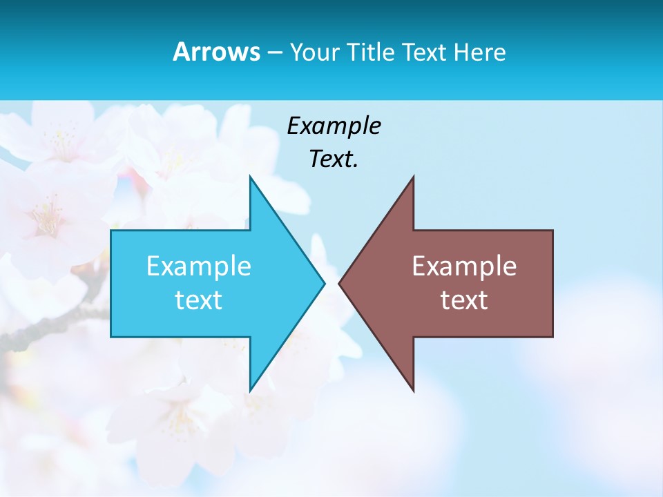 A Branch Of A Blossoming Cherry Tree With A Blue Sky In The Background PowerPoint Template