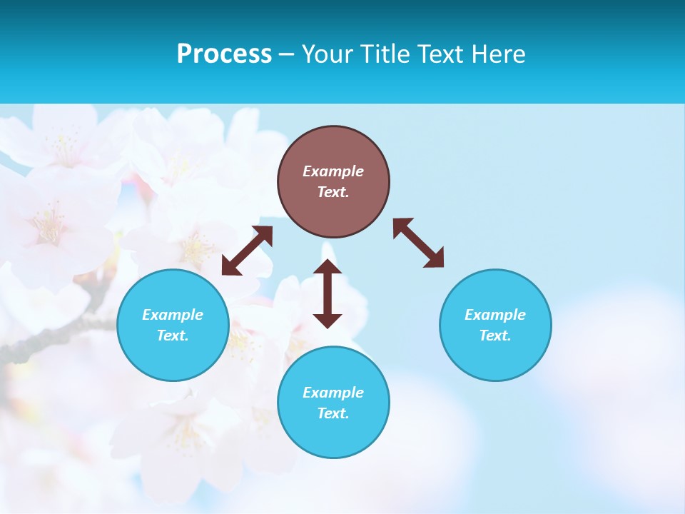 A Branch Of A Blossoming Cherry Tree With A Blue Sky In The Background PowerPoint Template