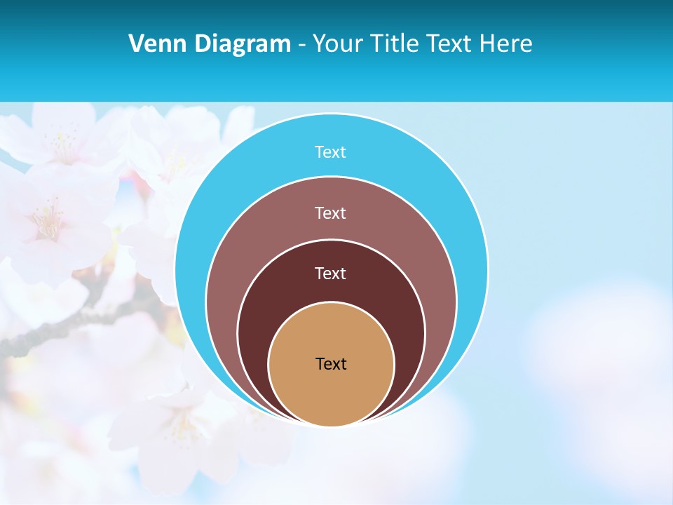 A Branch Of A Blossoming Cherry Tree With A Blue Sky In The Background PowerPoint Template