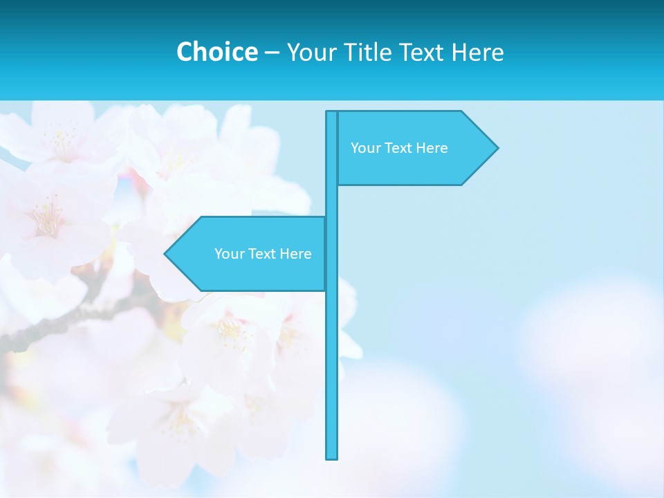 A Branch Of A Blossoming Cherry Tree With A Blue Sky In The Background PowerPoint Template