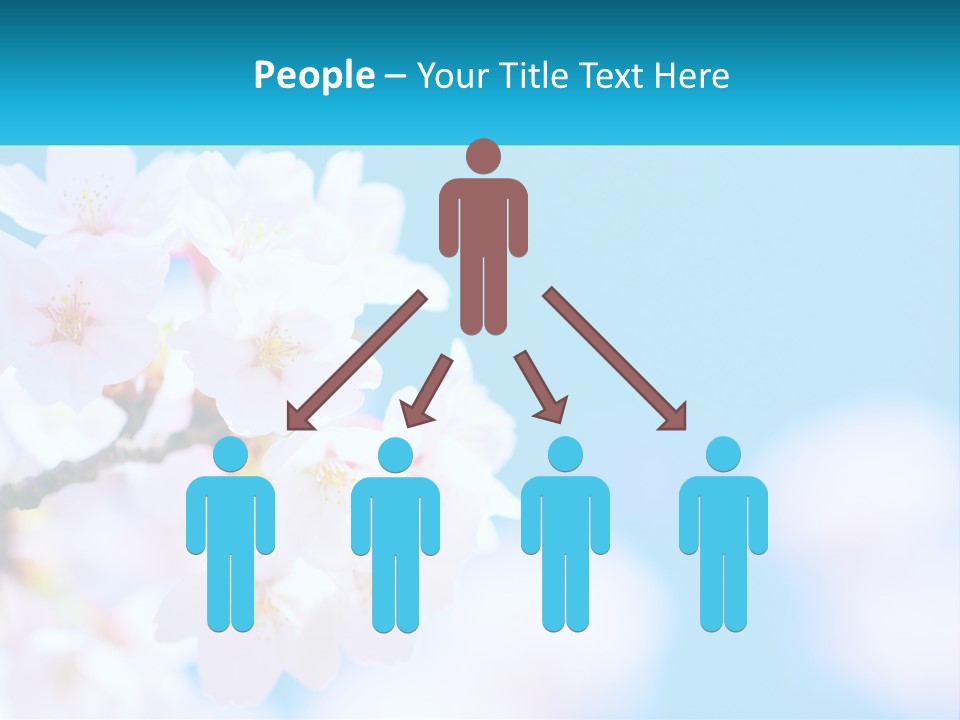 A Branch Of A Blossoming Cherry Tree With A Blue Sky In The Background PowerPoint Template