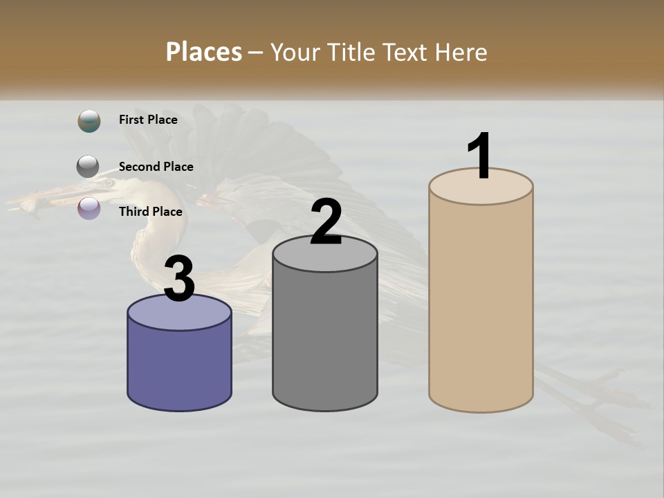 A Large Bird Flying Over A Body Of Water PowerPoint Template