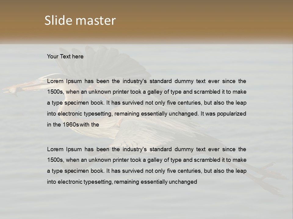 A Large Bird Flying Over A Body Of Water PowerPoint Template