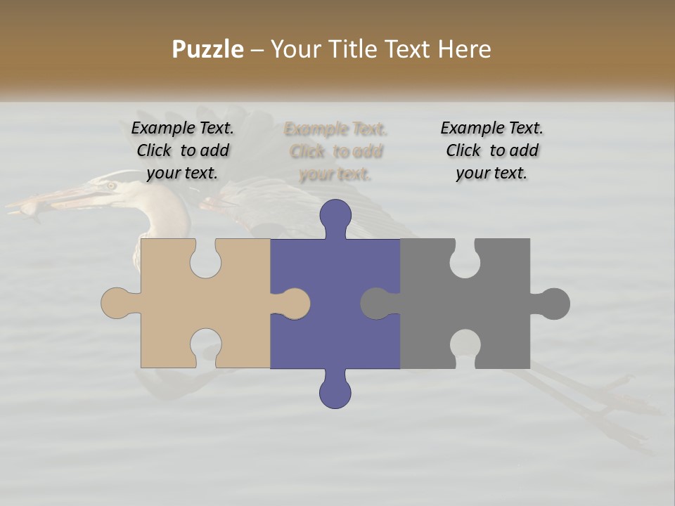 A Large Bird Flying Over A Body Of Water PowerPoint Template