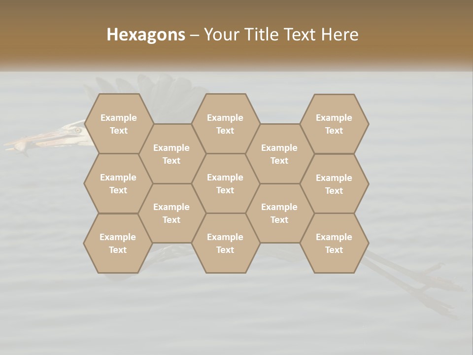 A Large Bird Flying Over A Body Of Water PowerPoint Template