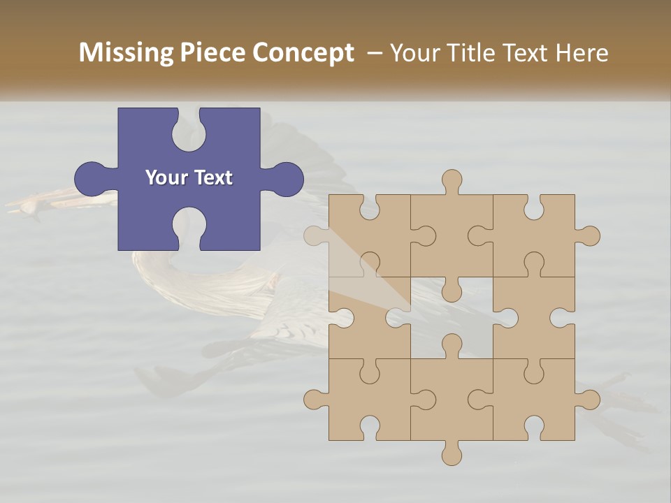 A Large Bird Flying Over A Body Of Water PowerPoint Template