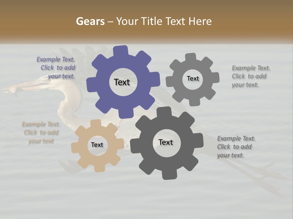 A Large Bird Flying Over A Body Of Water PowerPoint Template