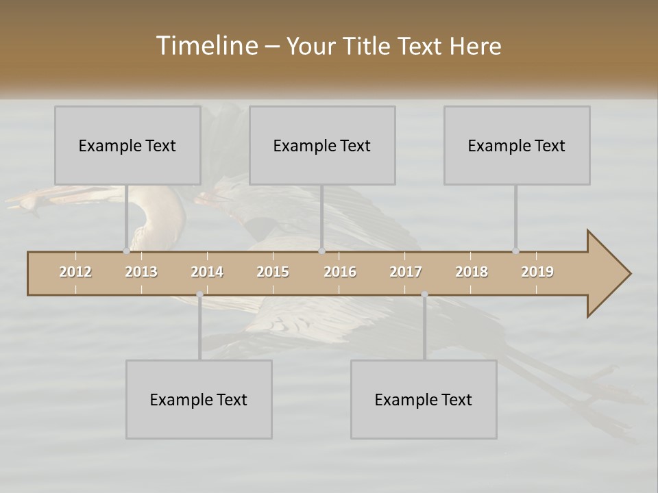 A Large Bird Flying Over A Body Of Water PowerPoint Template