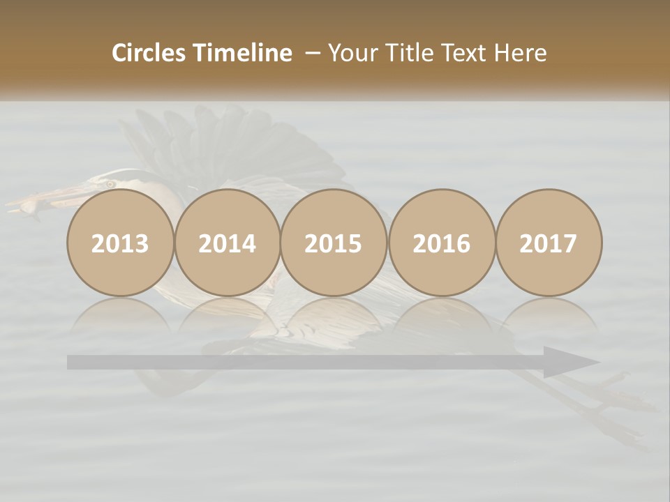 A Large Bird Flying Over A Body Of Water PowerPoint Template