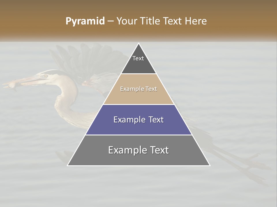 A Large Bird Flying Over A Body Of Water PowerPoint Template