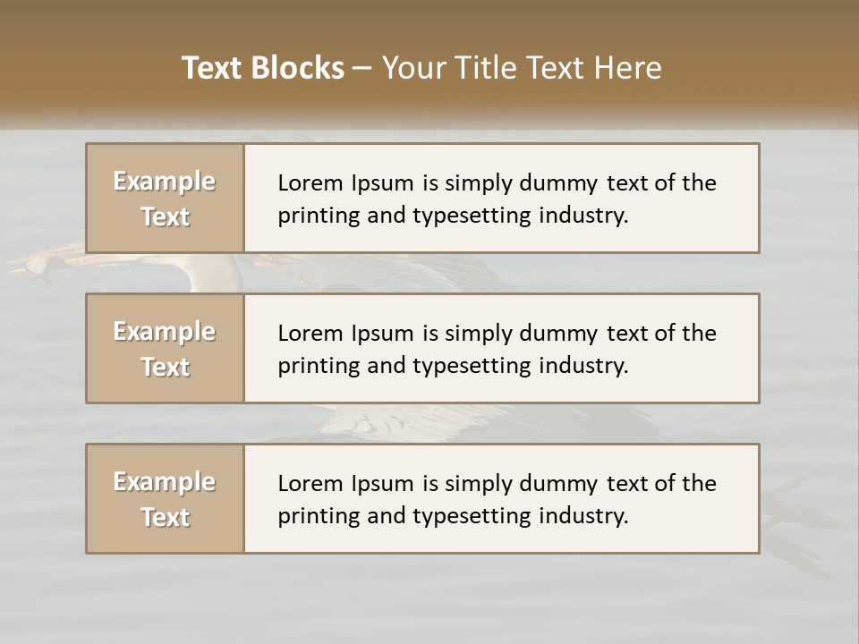 A Large Bird Flying Over A Body Of Water PowerPoint Template