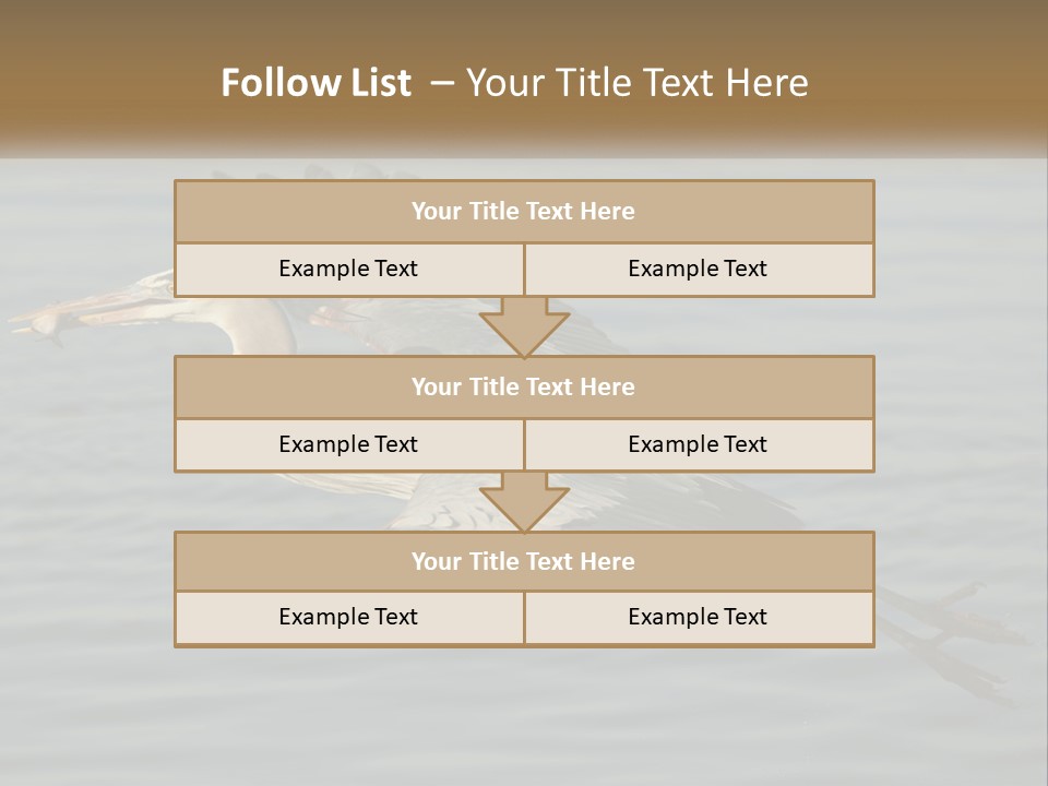 A Large Bird Flying Over A Body Of Water PowerPoint Template