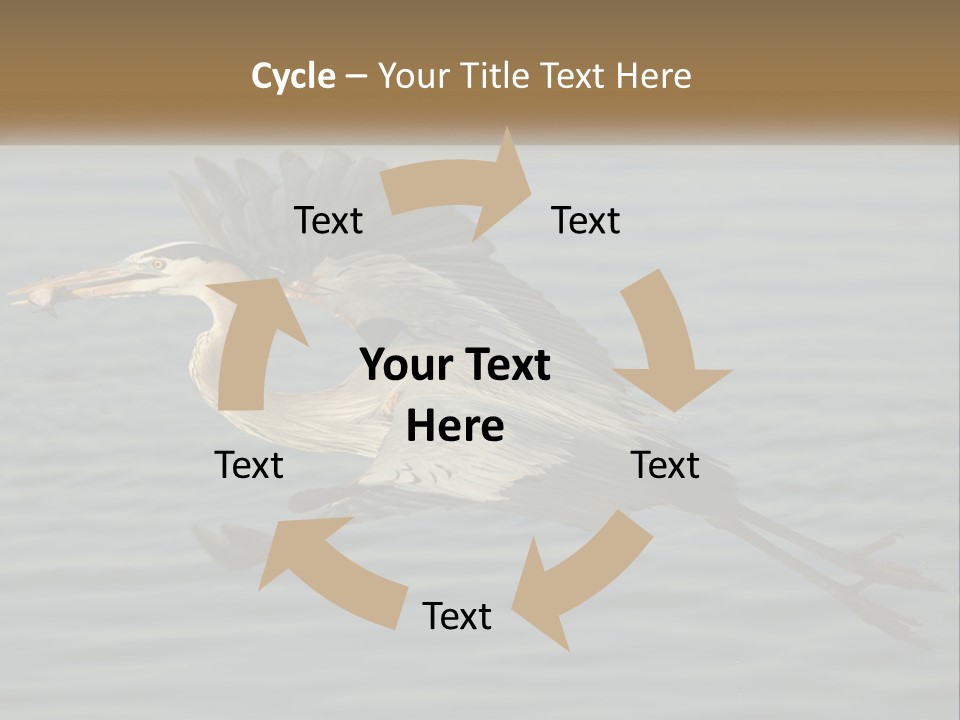 A Large Bird Flying Over A Body Of Water PowerPoint Template