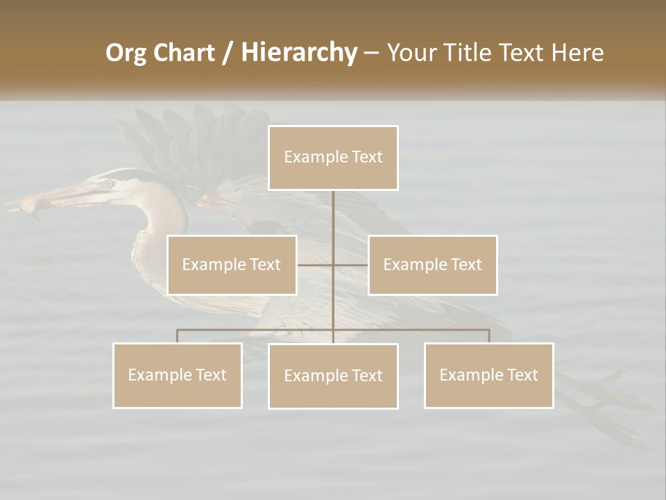 A Large Bird Flying Over A Body Of Water PowerPoint Template