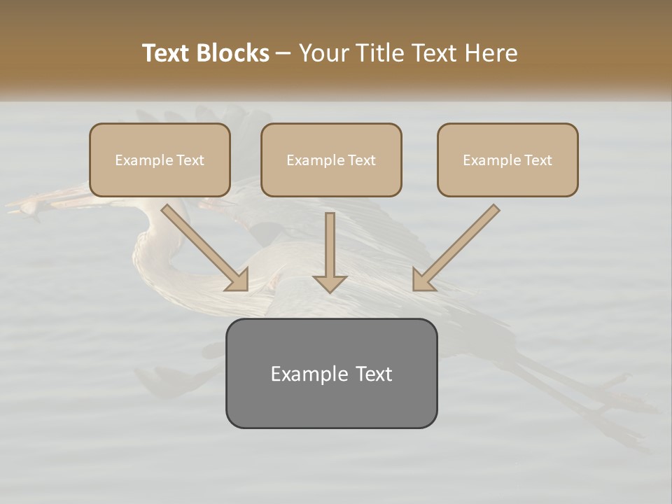 A Large Bird Flying Over A Body Of Water PowerPoint Template