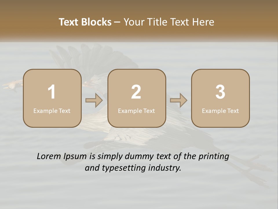 A Large Bird Flying Over A Body Of Water PowerPoint Template