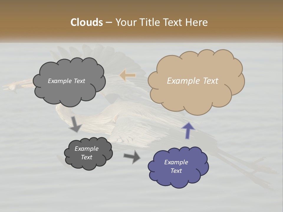 A Large Bird Flying Over A Body Of Water PowerPoint Template