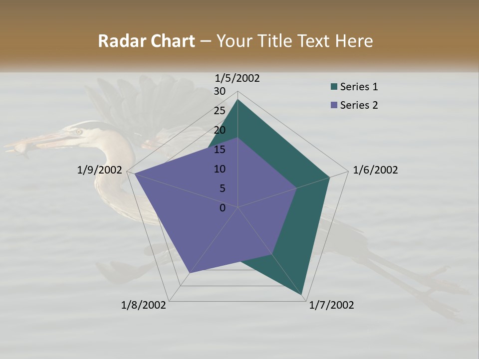 A Large Bird Flying Over A Body Of Water PowerPoint Template