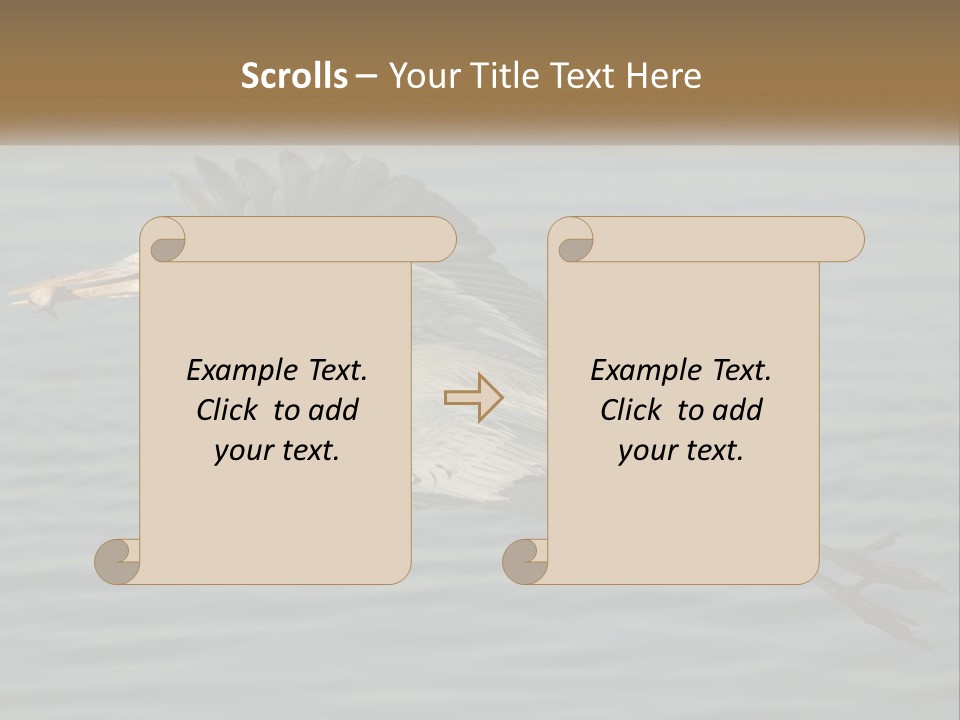 A Large Bird Flying Over A Body Of Water PowerPoint Template