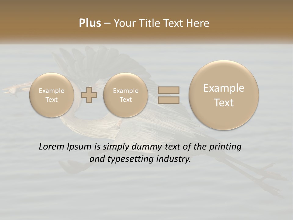 A Large Bird Flying Over A Body Of Water PowerPoint Template