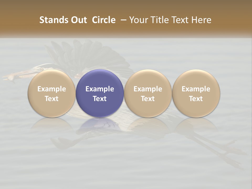 A Large Bird Flying Over A Body Of Water PowerPoint Template