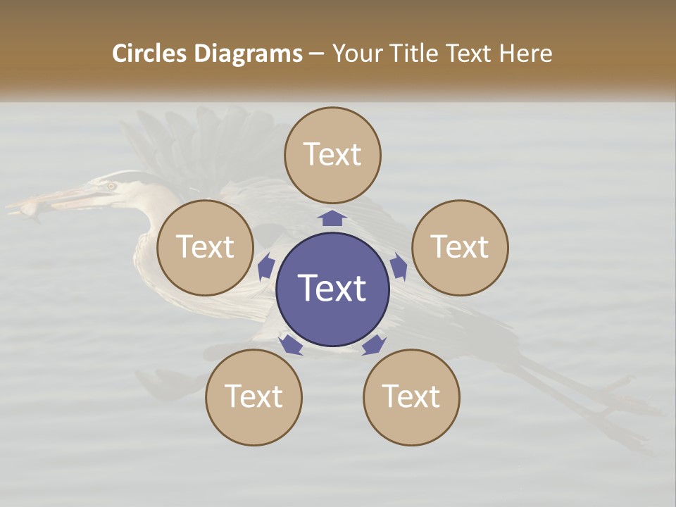 A Large Bird Flying Over A Body Of Water PowerPoint Template