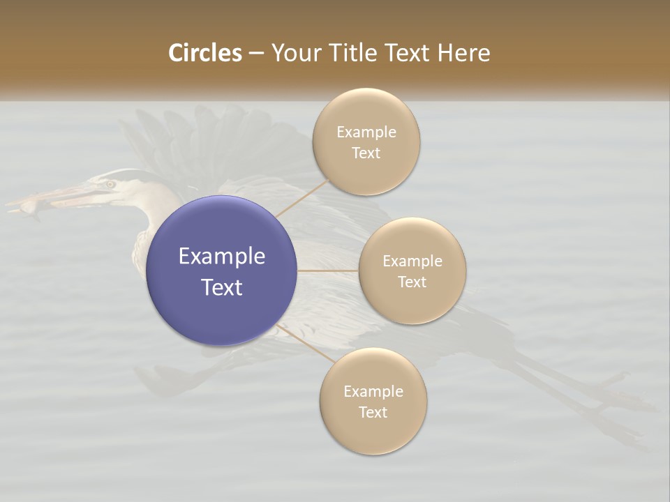 A Large Bird Flying Over A Body Of Water PowerPoint Template