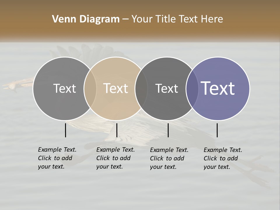 A Large Bird Flying Over A Body Of Water PowerPoint Template