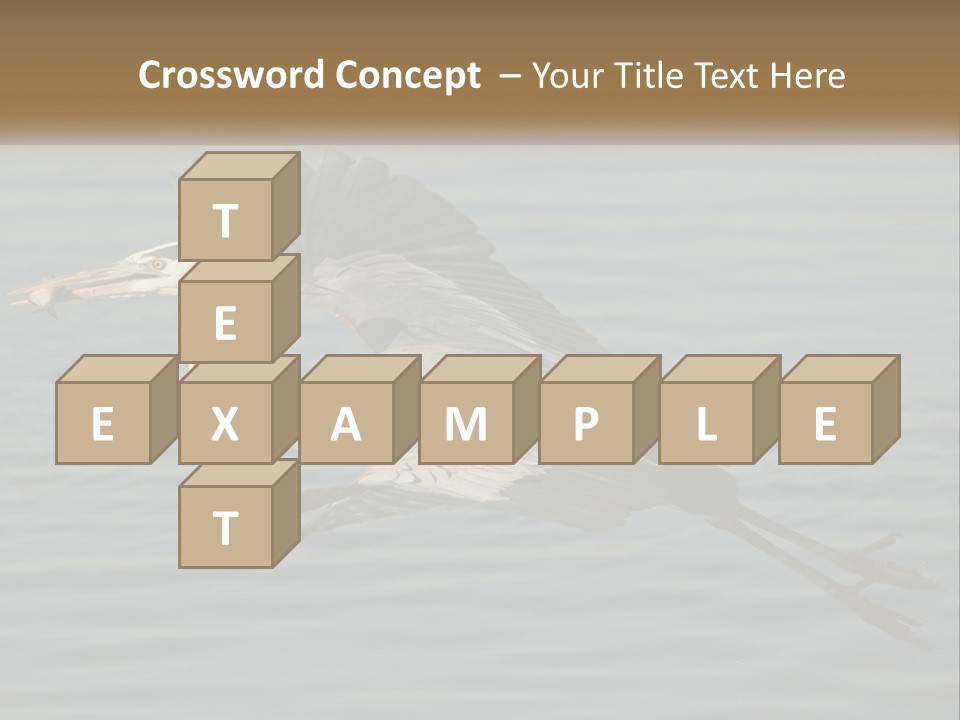 A Large Bird Flying Over A Body Of Water PowerPoint Template