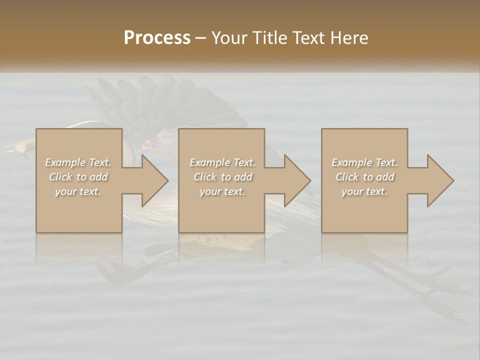 A Large Bird Flying Over A Body Of Water PowerPoint Template