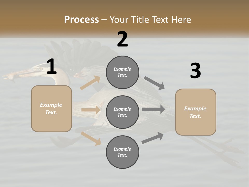 A Large Bird Flying Over A Body Of Water PowerPoint Template