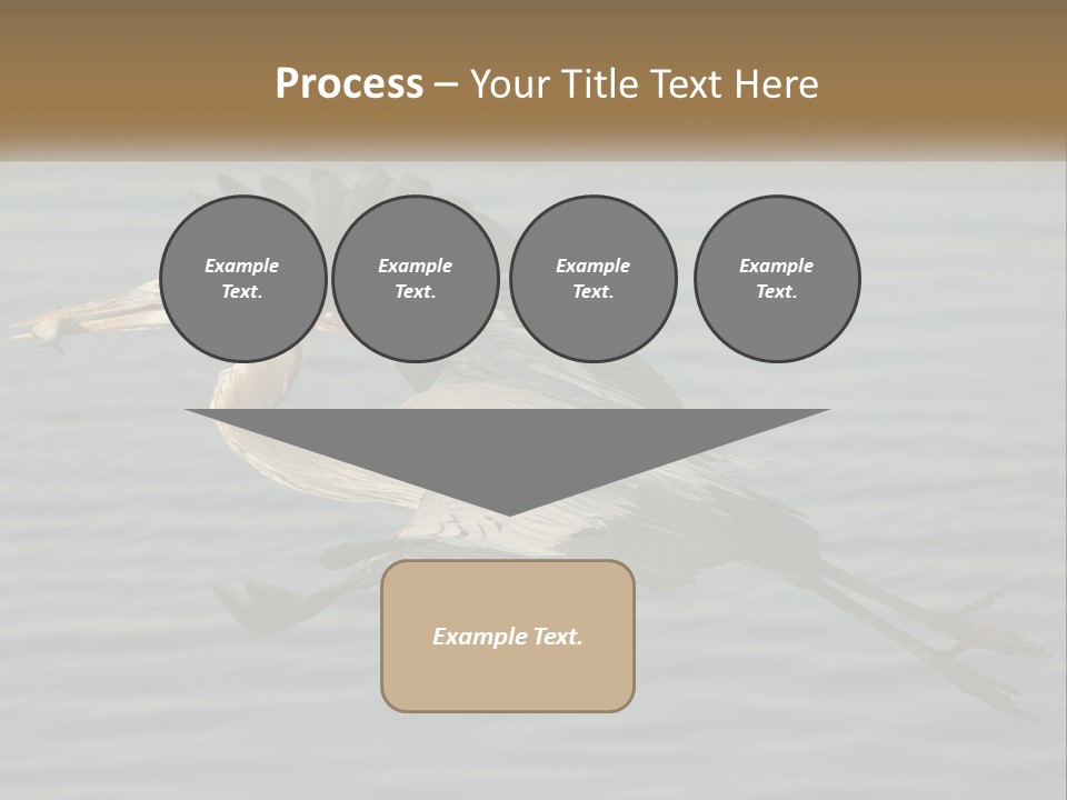 A Large Bird Flying Over A Body Of Water PowerPoint Template
