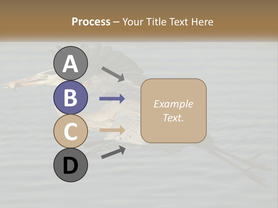 A Large Bird Flying Over A Body Of Water PowerPoint Template